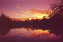 Autumn evening, Co.Wexford